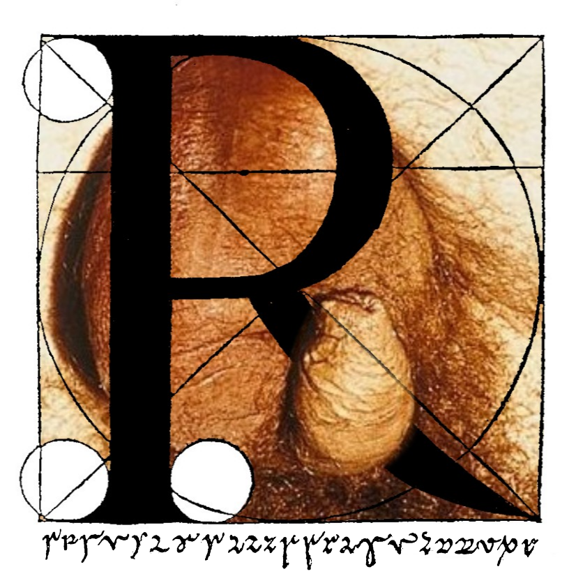 Chtouille en gîte aigu et prévention de la maltraitance de l’R.