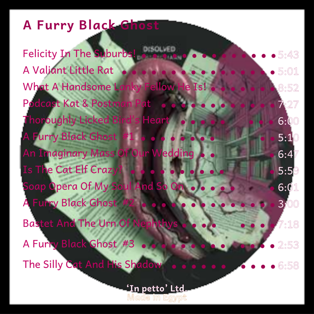 The Fearless Sloths, A Furry Black Ghost, CD, label ‘in petto’, 09/2023.